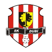 SFK Meziboří : Sportovní klub Dubí