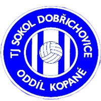 TJ Sokol Dobřichovice